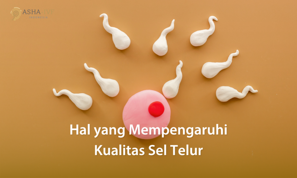 hal yang mempengaruhi kualitas sel telur